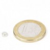 Kiekkomagneetti 4x2mm
