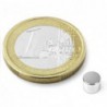 Kiekkomagneetti 5x4mm