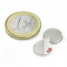 Tarramagneetti 12x2mm