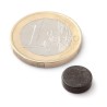 Neodymium disc magnet 10x3mm - Zinc (Zn)